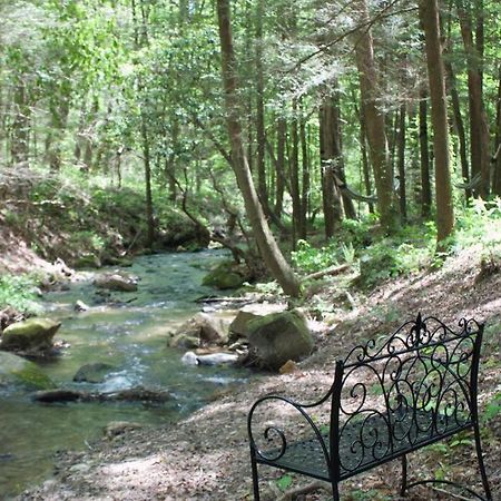 Private Creekside Cabin+Hot Tub,Pool Table, & Pets إليجاي المظهر الخارجي الصورة