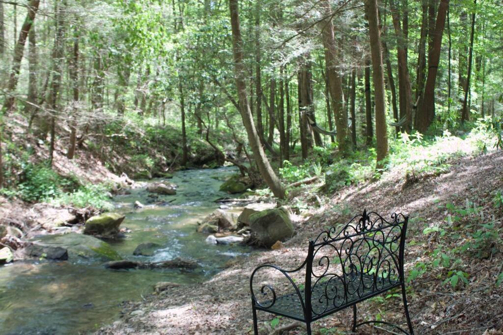 Private Creekside Cabin+Hot Tub,Pool Table, & Pets إليجاي المظهر الخارجي الصورة
