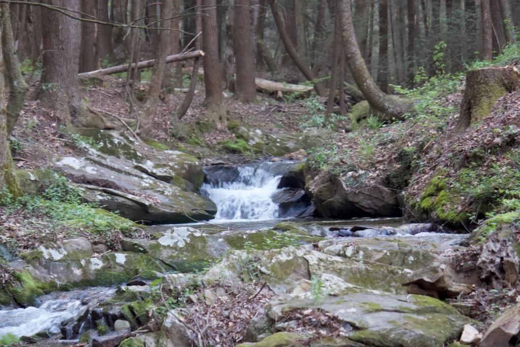 Private Creekside Cabin+Hot Tub,Pool Table, & Pets إليجاي المظهر الخارجي الصورة